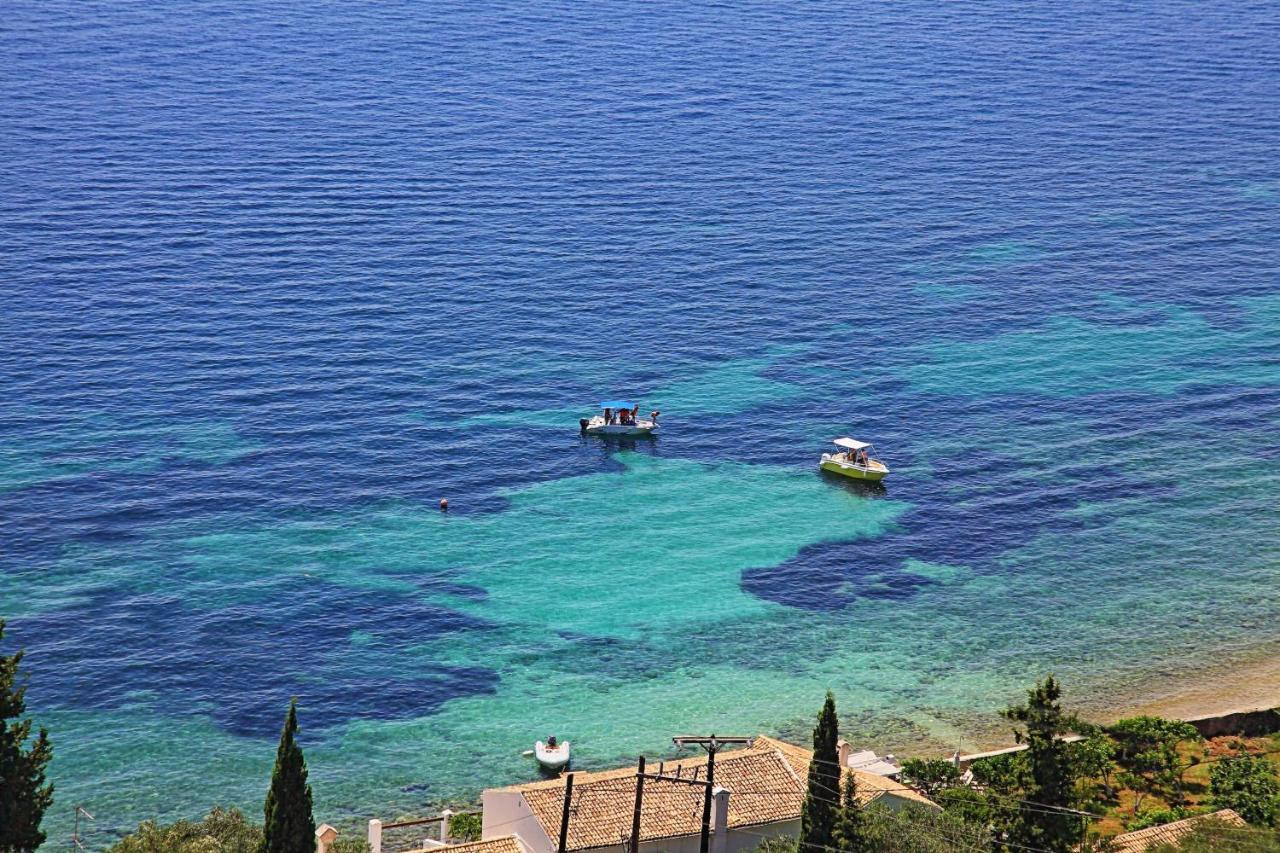 Seaview Calypso
